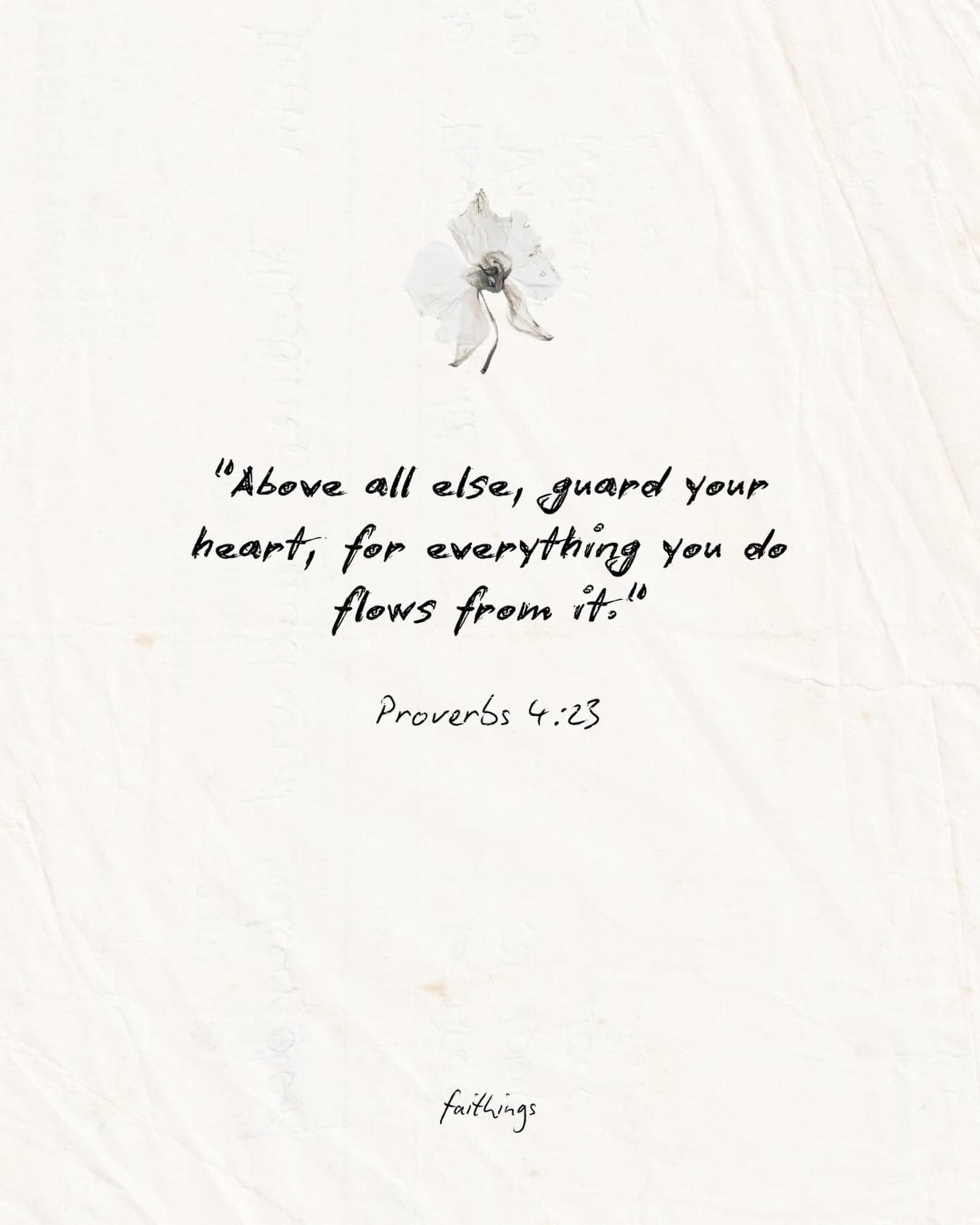 Protecting our peace and guarding our heart with His wisdom today. 🤍🌿